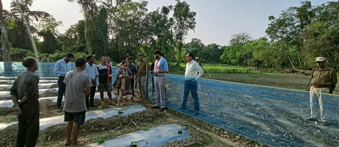 dc_sivasagar's tweet photo. শিৱসাগৰ জিলাৰ উপায়ুক্ত আদিত্য বিক্ৰম য়াদৱ মহোদয়ে বগীদ'লৰ হালোৱা ভকতগাঁৱৰ অঞ্জল চুতীয়াৰ পানবাৰী, ধ্ৰুৱজ্যোতি সন্দিকৈ আৰু তিলক শইকীয়াৰ  ভোটজলকীয়া  আৰু নাৰ্জীফুলৰ বাৰী পৰিদৰ্শন কৰে। @CMOfficeAssam @diprassam @ATULBORA2 https://t.co/N91IrFFSzZ