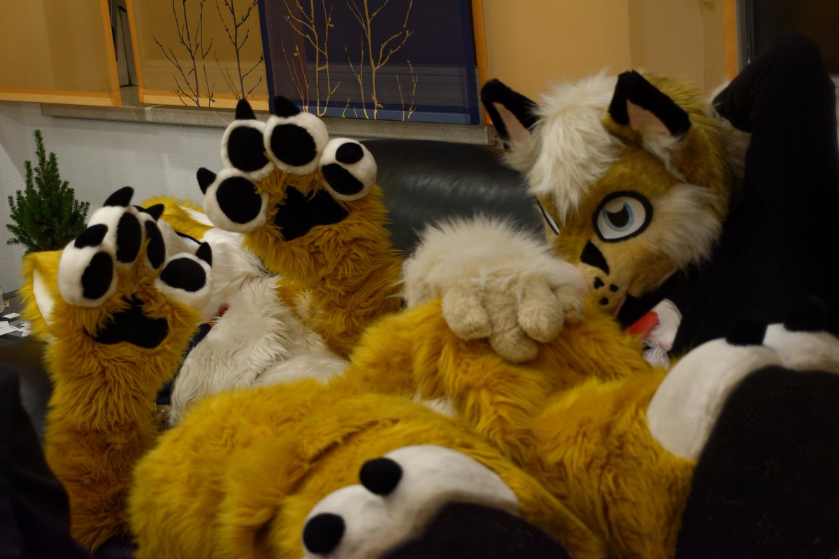 Yeay #Fursuitfriday cuddles 
📸 <a href="/TenzotheTiger/">Tenzo</a> #furvester #fursuit