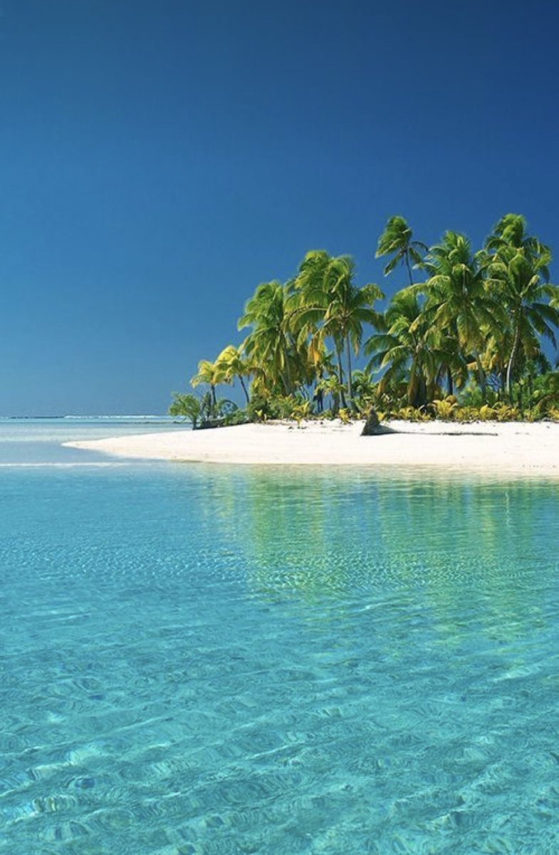 Ⓜ️ⒶⓇⒸ tweet media