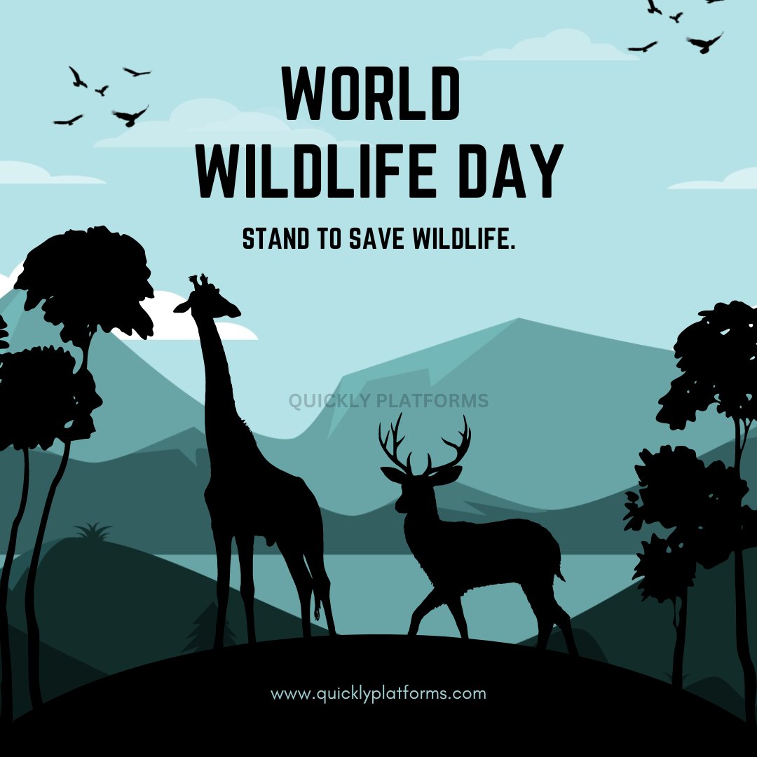 QuicklyPlatfor1's tweet photo. WORLD WiLdLiFe DaY
.
.
.
.
.
.
#WorldWildlifeDay #wildlife #Wildlifeday #SaveWildlife #quicklyplatforms https://t.co/tqoTQxWNt3