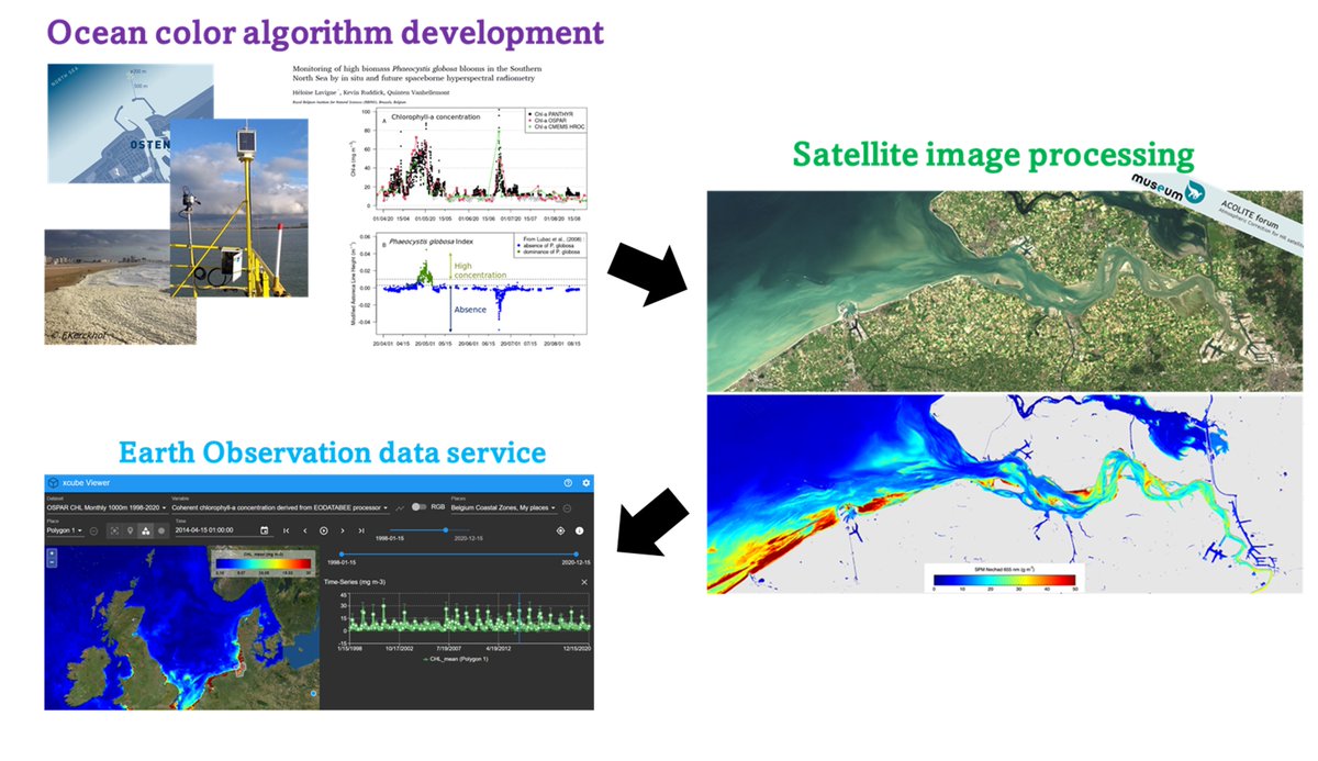 The REMSEM team is looking for a new colleague to join us in developing operational ocean color products/services to support marine management activities: naturalsciences.be/en/about-us/or…