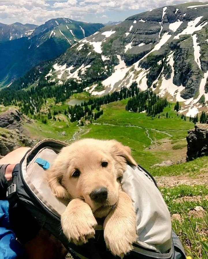 Worldpics tweet media