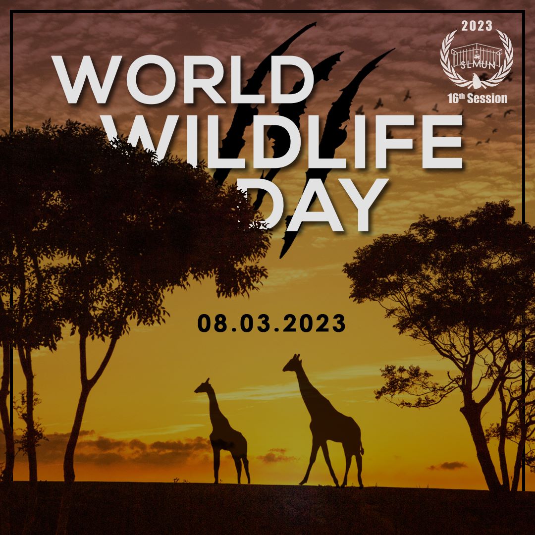 slmun2025's tweet photo. On March 3rd every year, people around the world celebrate the incredible array of plants and animals that share our planet.
This World Wildlife Day, let's reflect on the ways in which we can all take action to protect our planet's biodiversity.
#slmun
#WorldWildlifeDay https://t.co/ncEQpa6s96