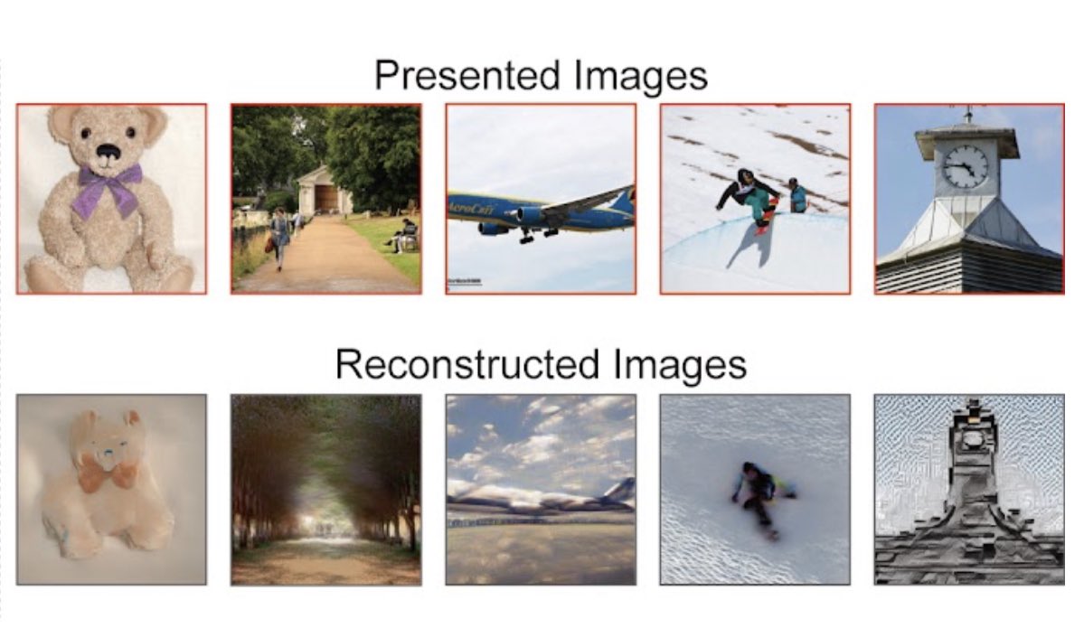 Des modèles de génération d’images d’#IA pourrait permettre de voir vos rêves en images.
Des chercheurs japonais ont présentés des images à des gens et on ensuite reconstruit les images en utilisant des données IRM du cerveau. Voici les résultats ⬇️ + source dans le second tweet