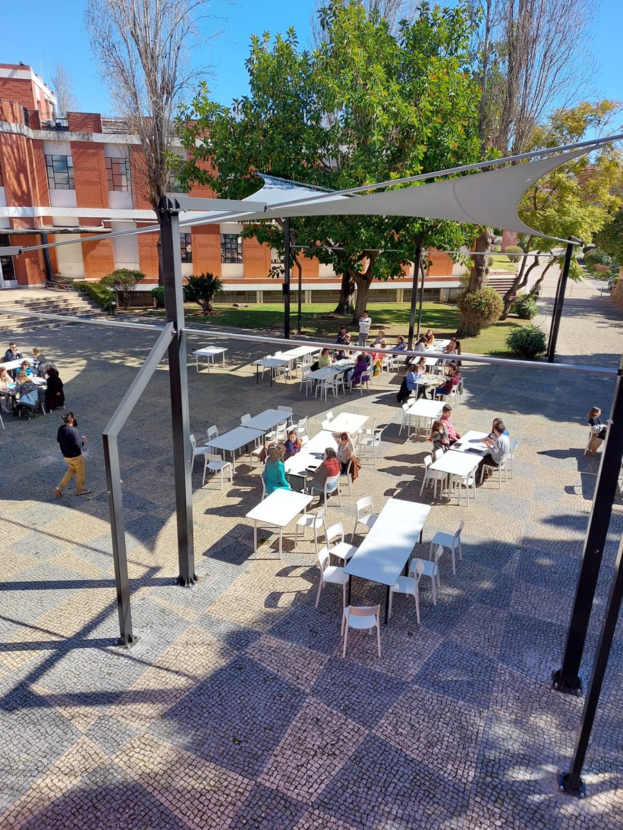 Building Bridges in Biology tweet media