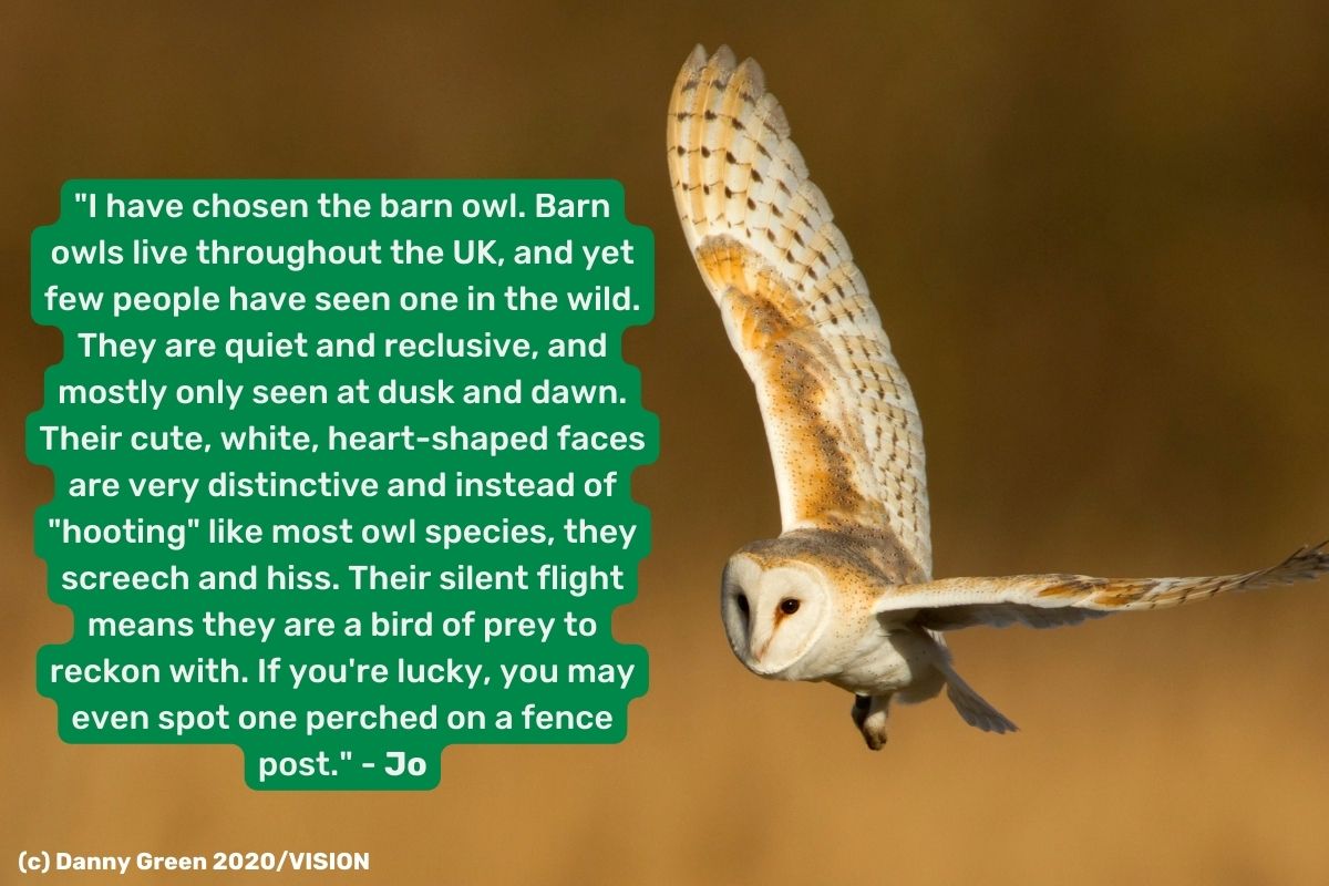 Derbyshire Wildlife Trust tweet media