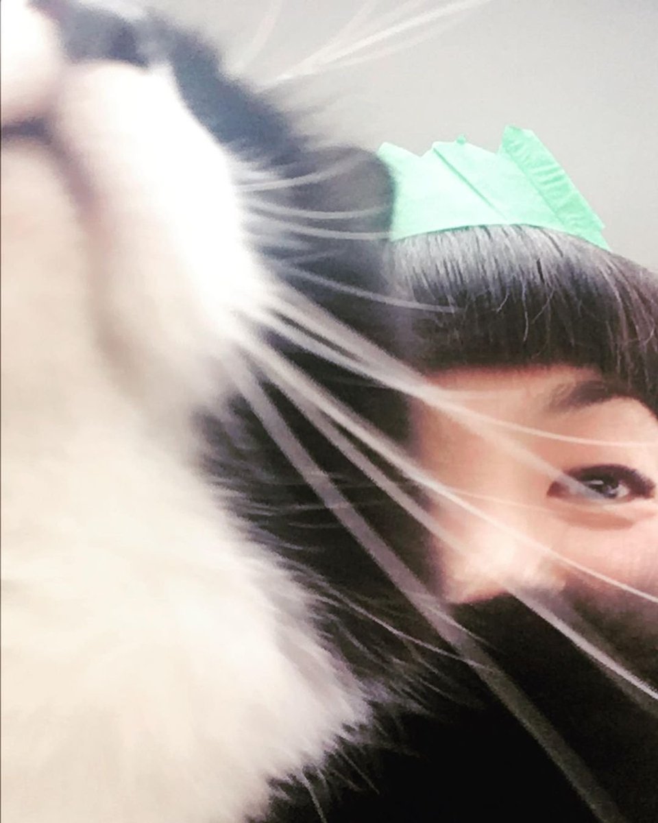 WoolwichMakers's tweet photo. Satori handcrafts the most beautiful cat-themed rings, brooches, and necklaces - so if you're a fellow feline fan, you won't be able to resist her pieces! Each piece is unique artwork capturing a particular moment of a cat's beauty.

📆 Wed 8 March
🕙 5-9pm
📍The Green Goddess https://t.co/lbNSIqmXbK