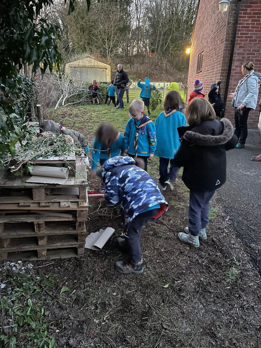 Another top notch building job by Woodside Beavers yesterday evening! #creepycrawlies #wildlife @HampshireScouts