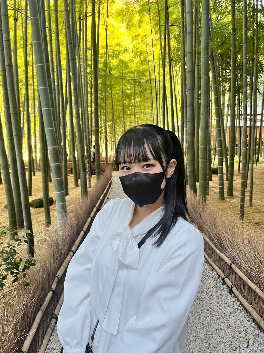 rena_shiratsuyu's tweet photo. 念願の鎌倉観光行ってきました✨
｢報国寺｣の竹林🎋𓈒𓏸めっちゃ綺麗だった😍
 #鎌倉  #報国寺  #ラビットビット https://t.co/Q4Waz9Pzcz