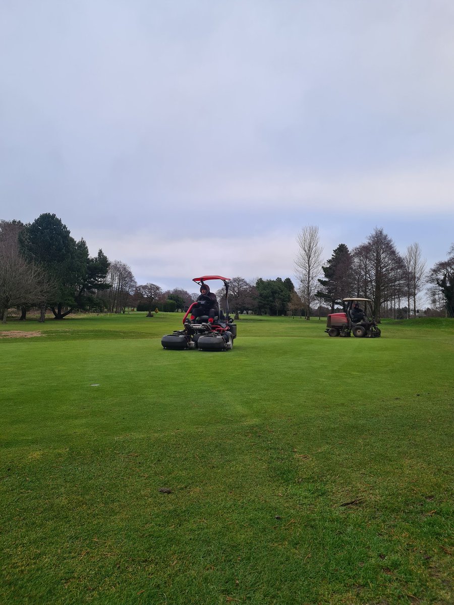 Friday morning set up! Greens cut, holes changed and approaches cut!