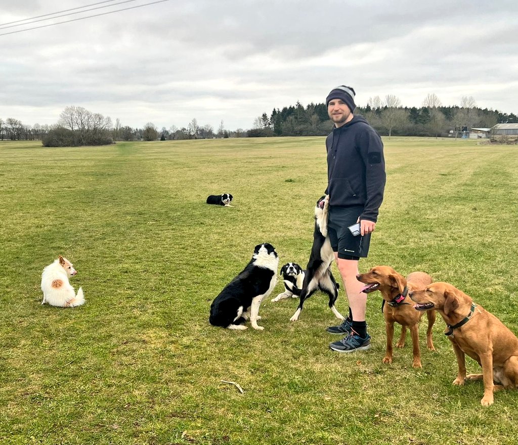 taylor_trails's tweet image. #dogjog this morning, 7k round the fields 👌🏃‍♂️🔥👍👊 #ukrunchat #runningdogs