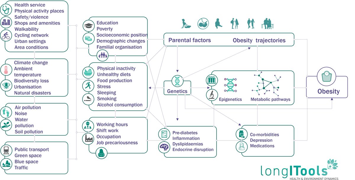 Obesity is NOT a choice.
Obesity is NOT just about weight.
Obesity is a complex disease.
Obesity is a multifactorial disease.
#WorldObesityDay #Exposome