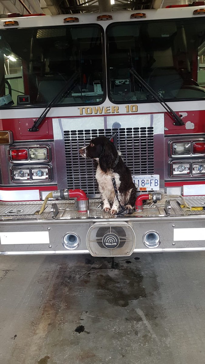 SavPhillips21's tweet photo. TJ at the firehall with my dad 🥰 https://t.co/S2bwcDKPQ0