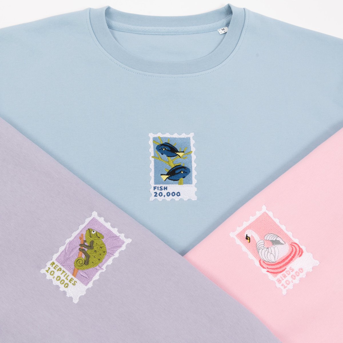 Big Wild Thought tweet media