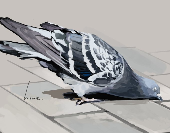 「grey background oversized animal」 illustration images(Latest)