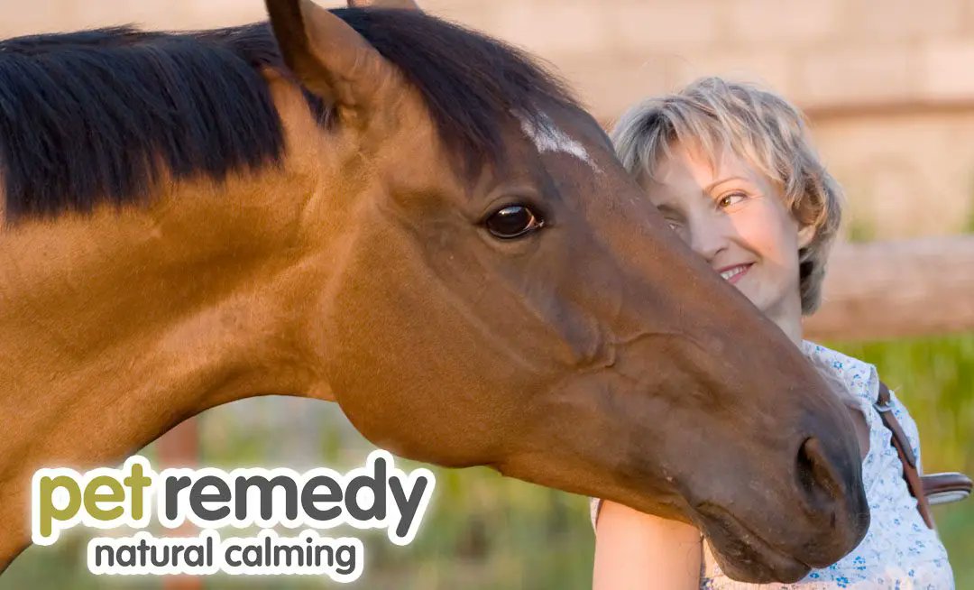 There are many causes of stress in horses, but the good news is that you can avoid most of them. If you understand what stresses your horse out and how to avoid it, then your horse will be happier and healthier overall! petremedy.co.uk/the-causes-of-… #horse #petremedy