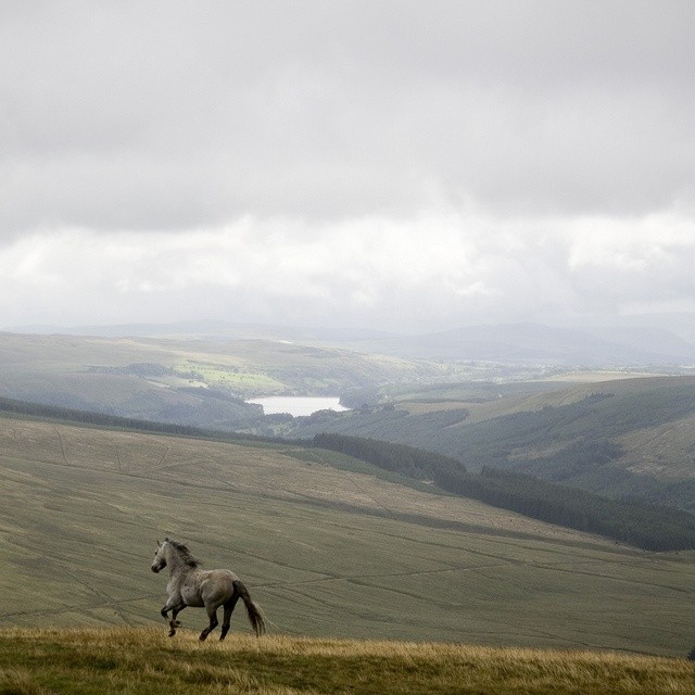 " Kıyamete yakın Müslümanlar içinde bulunacak en az şey;helal para ve güvenilecek arkadaş."
                                  (S.A.V.) hayırlı cumalar