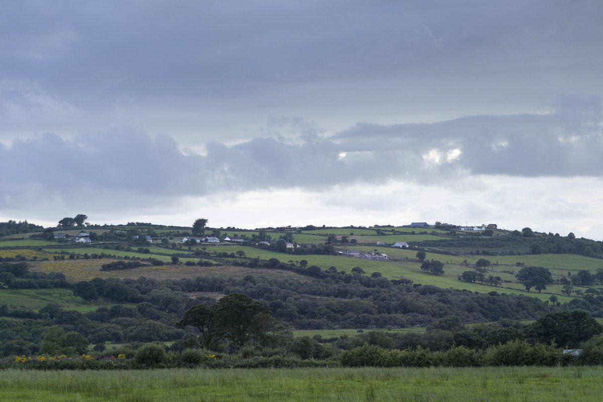 greenways_kerry's tweet photo. Wildlife spotting today! On this #WorldWildlifeDay, our proud Kingdom of Kerry Greenways are bursting with different species β big and small. So grab your runners or bicycle, hit the trails and tell us what you spy π#GetOutsideToday #KingdomofKerryGreenways https://t.co/xlbcZfKpz3