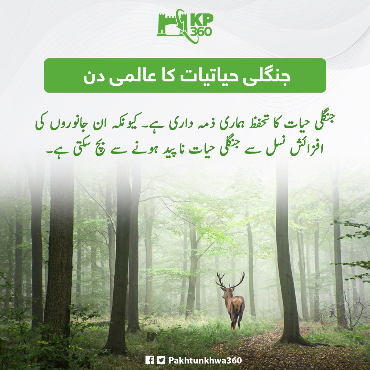 Ehsankhan505's tweet image. Let's take action to prevent extinction and protect the habitats of all wildlife 🐅🐘🦋🦜🐢 #WorldWildlifeDay
#on_the_street #3rdmarch #inflaction