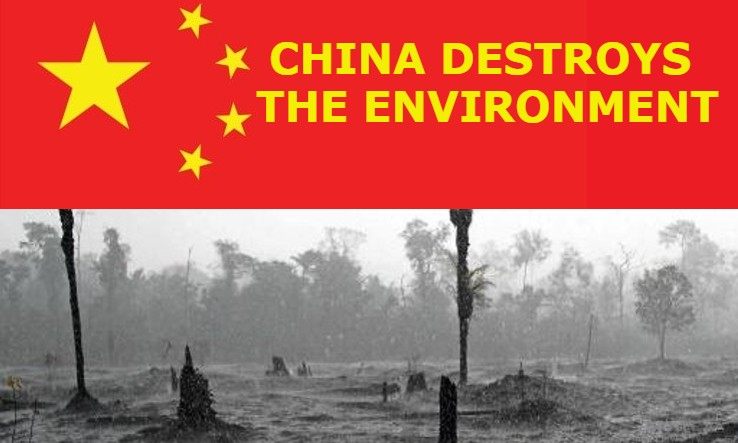 VideosChine's tweet photo. China builds more new coal plants than the rest of the world combined.
More on NPR
https://t.co/D4EAylq6Yv
#ChinaEnvironment #China https://t.co/t2eYeiXy3J