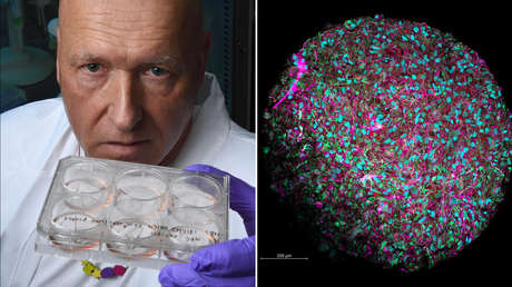 FundamarMiranda's tweet photo. Presentan un plan para desarrollar 'biocomputadoras' que funcionan con células cerebrales humanas https://t.co/s9WbNXCI7L #grandesmedios #fundamarmiranda https://t.co/T9LcPk8CXP