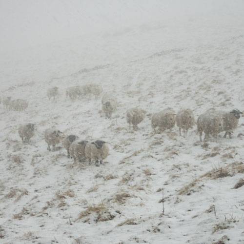 What is Sudden Stratospheric Warming? stormhour.com/sudden-stratos…
Sudden Stratospheric Warmings can herald significant changes in the weather at the earth’s surface. 
#StormHour #ThePhotoHour #WeatherReady