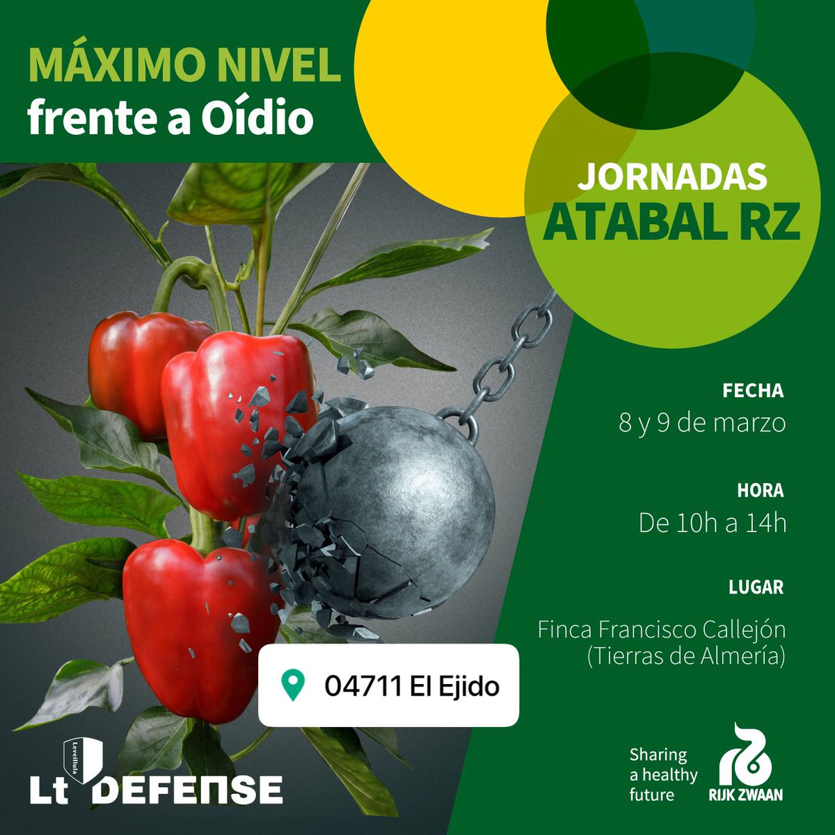 ¿Necesitas ponerle solución al oídio en 🫑? Acaba con este problema con la nueva variedad Atabal RZ, el California que ofrece la máxima protección contra este hongo. 

⏰Si quieres verlo en campo, no faltes a las jornadas de <a href="/rijkzwaanES/">Rijk Zwaan ES</a> el 8 y el 9 de marzo, en El Ejido. <a href="/jlrn1/">José Luis Ruipérez</a>