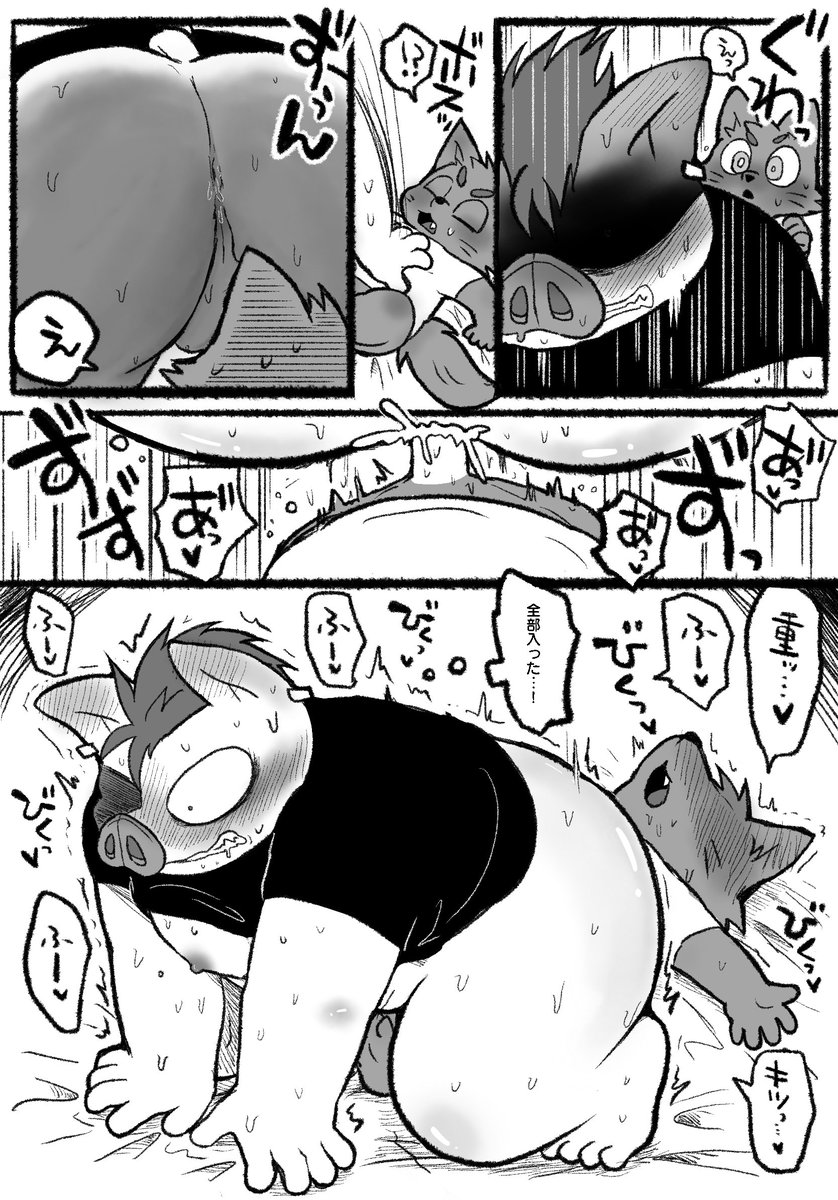 カーディナル君×ブヒブー様(1/2) 