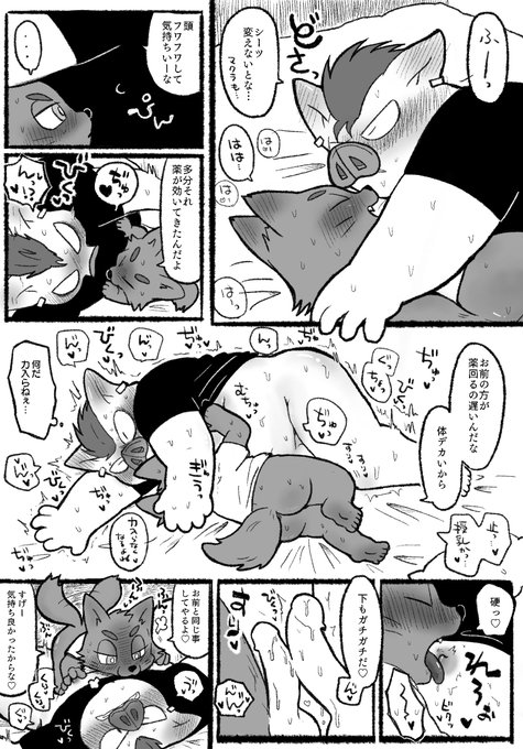 カーディナル君×ブヒブー様(1/2) 