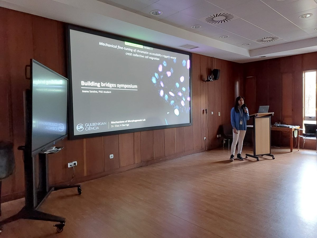 Building Bridges in Biology tweet media