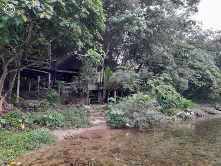 readthecloud's tweet photo. แพ็กกระเป๋าตะลุย 2 อำเภอใน #นครศรีธรรมราช ตามเจ้าถิ่นบุกสวนทุเรียนเดือน 11 จิบกาแฟ แลพระธาตุ สัมผัสความเป็นชาวพรหมคีรีที่ตลาดเช้า ก่อนปิดท้ายกินข้าวมื้อเย็นตามใจเชฟ ในคอลัมน์ #Travelogue รอบนี้
https://t.co/Lhk1A7i3dM https://t.co/PnzWNFyZhd