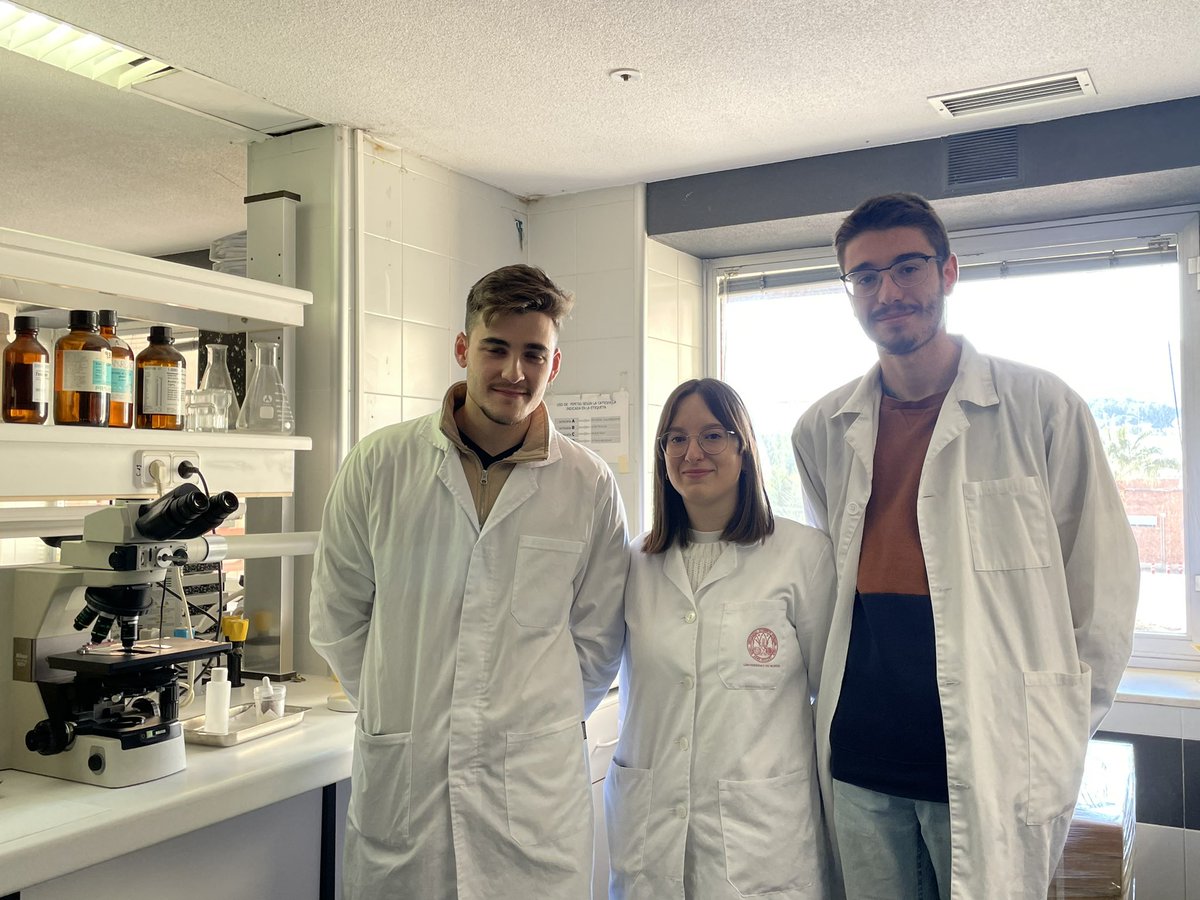 LabArrixaca's tweet image. Hoy termina el período de prácticas curriculares de nuestros alumnos del grado de Bioquímica. Ha sido un placer compartir nuestro conocimiento con vosotros y acercaros al laboratorio. Ojalá algún día os tengamos por aquí como residentes!
@AreaUnoArrixaca 
@UMU