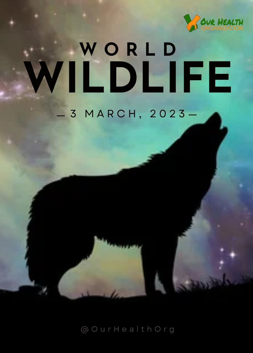 #WorldWildlifeDay
Happy wildlife day! 😍