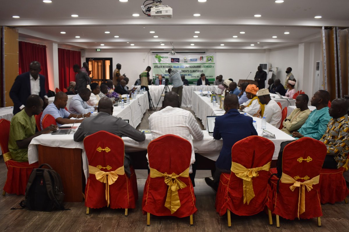 Ambassade des Pays-Bas au Mali tweet media