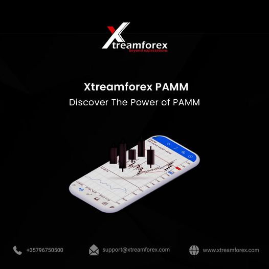 SoniaKaur3445's tweet photo. Investors and Fund Managers enjoy mutual benefits with the award-winning Xtreamforex PAMM program, which offers manager accountability https://t.co/jqbzHuGq7H
Get your piece of the PAMM pie!
#xtreamforex #xtreamforexPAMM #PAMMmanager #PAMMaccount #trading #trading #investors https://t.co/yw6ikZ4pi4