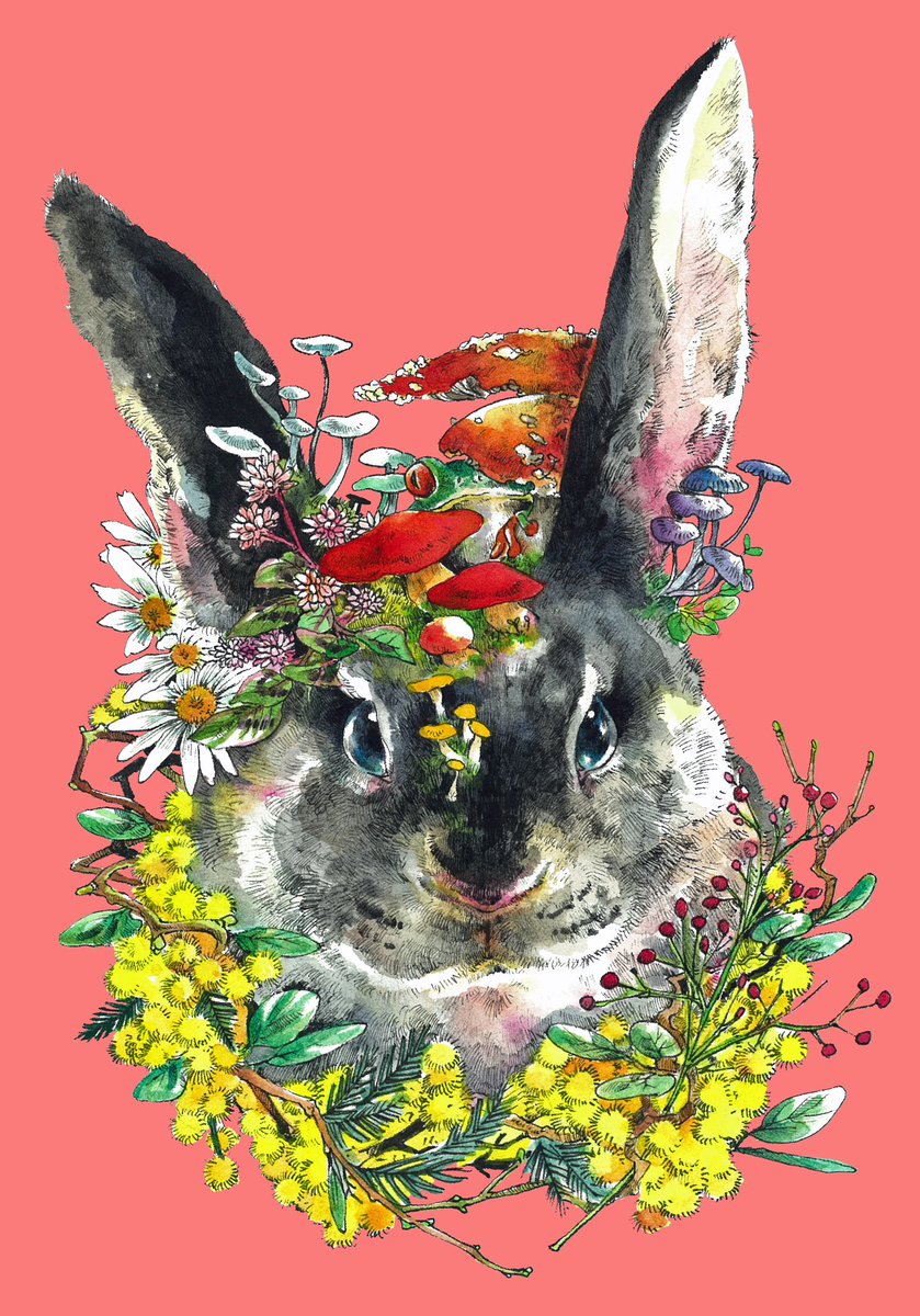 no humans flower mushroom white flower rabbit simple background animal focus  illustration images