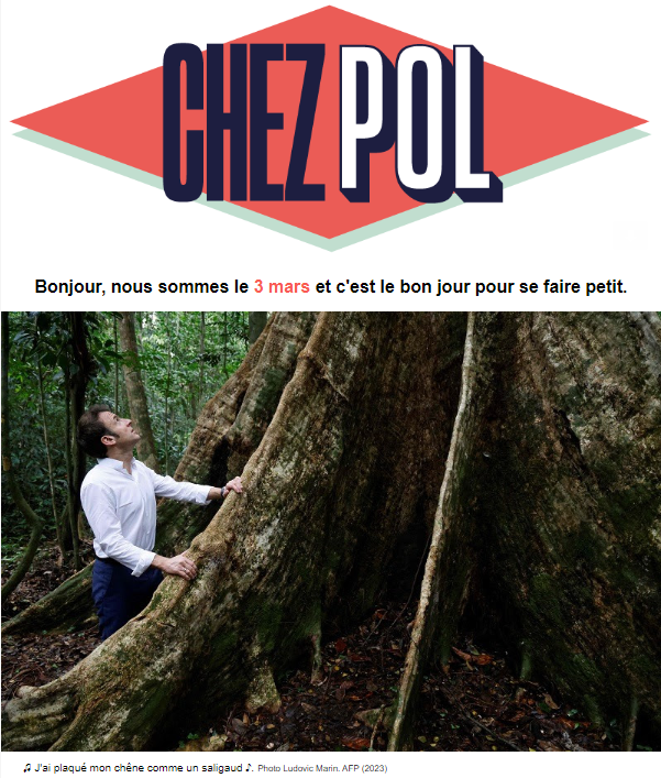 chez_pol's tweet photo. C'est le bon jour pour se faire petit #Fan2 #Piaf #Gâchis #Parade #Miracle https://t.co/kk4CjP3Q73
