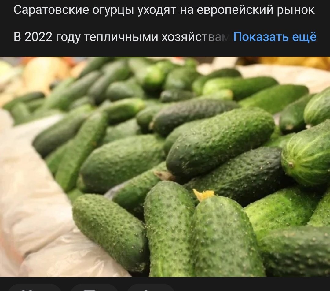 Огурец Муссон