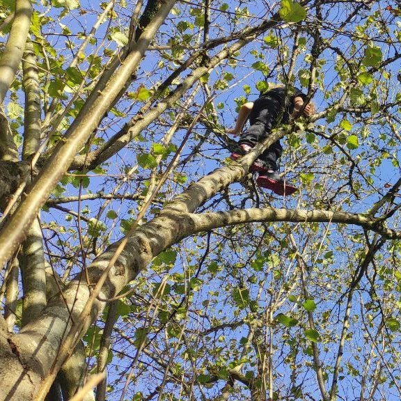 Altuera lantzerakoan, zer hobeto benetako altuera esperimentatzea baino?

#umerri
#jolastenikasten
#aprenderjugando
#alturas