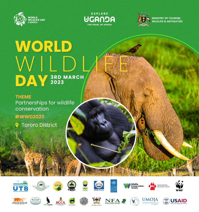 VickyVaroh's tweet photo. Today Uganda joins the world to celebrate #WWD2023 under the theme: "Partnership for Wildlife Conservation.”

National celebrations are ongoing in Tororo District, at King George Memorial Stadium.
#WildlifeDayUG #WorldWildlifeDay

@MosesWatasa @mugarra @KambarageKakon3 https://t.co/CnHwtpQd3Z