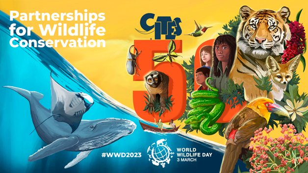 The #WCO celebrates #WorldWildlifeDay in support of partnerships for wildlife conservation
➡️ wcoomd.org/en/media/newsr…

#Customs #WWD2023 #SDG14 #SDG15 #SDG17 #PartnershipsforConservation #ThunderOperation @CITES @ICCWC @INTERPOL_HQ @INTERPOL_EC @UNODC @WorldBank