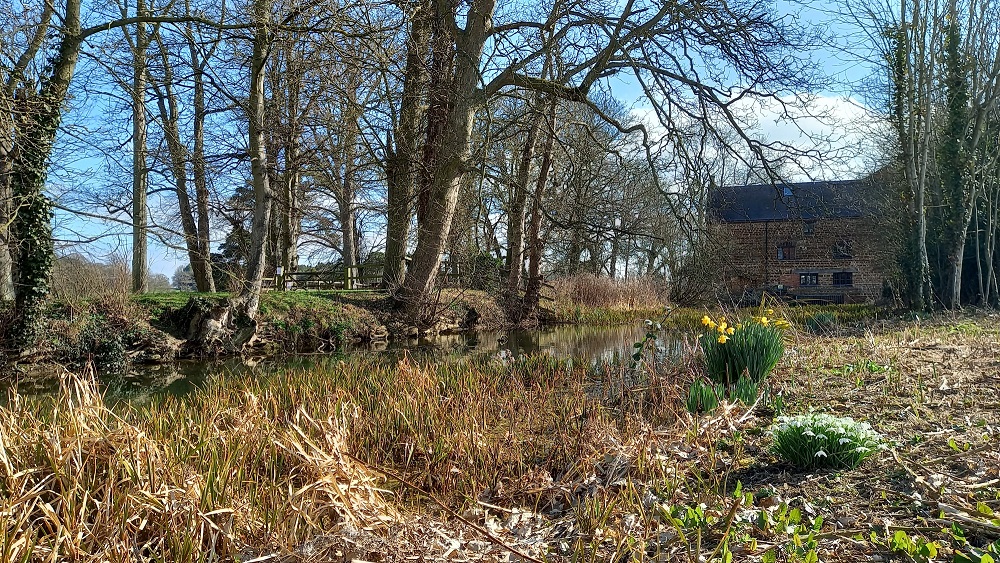 Welcome to March! We've got lots going on here at the Mill this month, whether it's live music, quiz nights, live comedy - even a St Patrick's Day Shamrock Shindig🍀🪕- plus weekly street food! 🍕🍔 Join us for a spring-time pint 🍺 #towcester