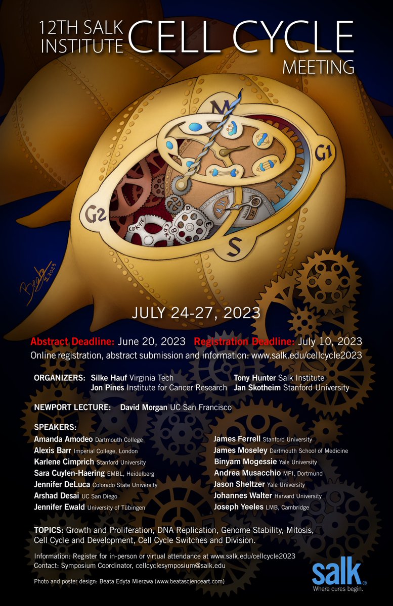 It's official! The Salk Cell Cycle Meeting will start on 24th July. Here's the stunning poster referencing astronomical clocks created by Beata Science Art @beatascienceart. Jan, Silke, Tony and I hope to see you all there!