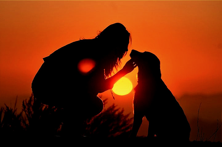 Pixelesfelices's tweet photo. Yo solía mirar a mi perro, Merengue, y pensar, ´si fueras un poco más inteligente podrías decirme lo que estás pensando´, y él me miraba como si me dijera: ´si fueras un poco más inteligente, yo no tendría que hacerlo.
Una sesión llena de amor.❤️ https://t.co/9qSkn2dvbV