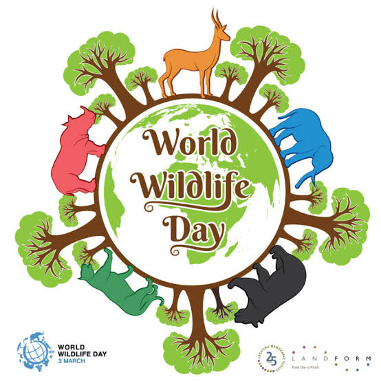 gifsep4climate's tweet photo. On World #Wildlifeday and always. Say No To Bush Meat
#SayNoToBushMeat
#NoToBushMeat
#wildlife https://t.co/1fkafl9EFy