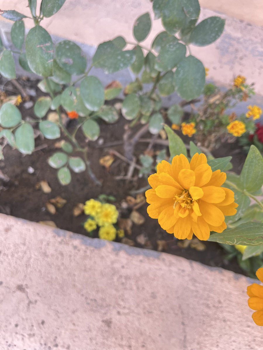 - جمعْهہ طيّبهہ
 ٲسٲل اﻟﻟه لي وﻟگم ﻧعيم آﻟجنة🤲🏻🤍