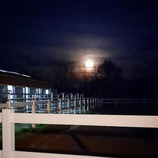 ebkenhof's tweet photo. 🌕 Vollmond 🌕
Ein Blick über unseren tollen Reitplatz und da stand der Mond heute Abend in voller Pracht, während die Pferde sich ihr Abendessen schmecken lassen.
#ebkenhof #reitstall #pensionsstall #paddockboxen #abendstimmung #erstervollmonddesjahres https://t.co/aGMxdfqxZI