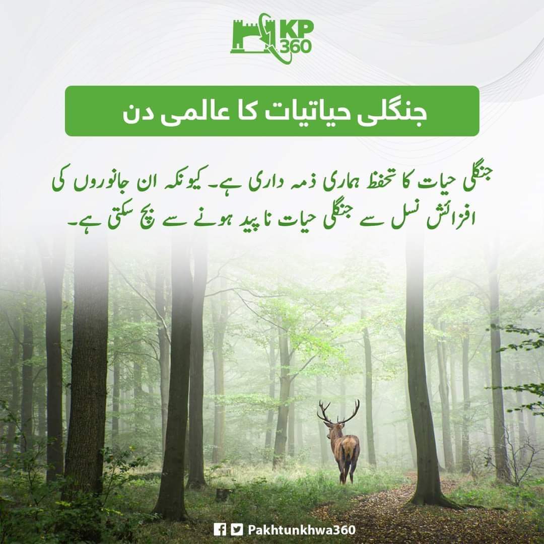 Muhamma05246884's tweet photo. Happy World Wildlife Day! Let's celebrate and protect the incredible diversity of our planet. Together, we can ensure a sustainable future for all species. 🐾🌿🌎 #worldwildlifeday2022
#KP360Updates #creative_wings #KPbuzz https://t.co/Ug1UgsOKFT