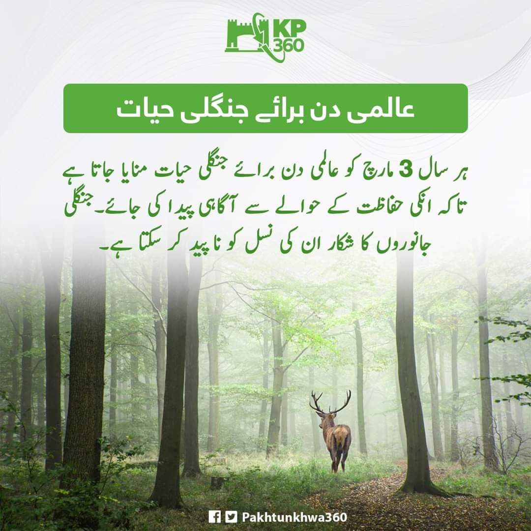 Muhamma05246884's tweet photo. Happy World Wildlife Day! Let's celebrate and protect the incredible diversity of our planet. Together, we can ensure a sustainable future for all species. 🐾🌿🌎 #worldwildlifeday2022
#KP360Updates #creative_wings #KPbuzz https://t.co/Ug1UgsOKFT