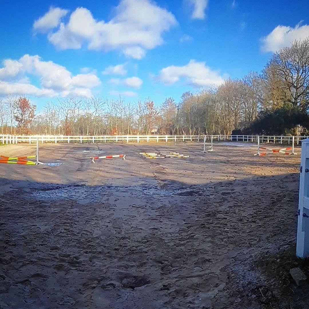 ebkenhof's tweet photo. So schönes Wetter! 
Da wurden doch gleich kurzerhand die Stangen und Sprünge auf den Platz geräumt. Anschließend gab es noch in gemütlicher Runde lecker Kuchen und Punsch/Glühwein. 
#ebkenhof #reitstall #pensionsstall #sonntagistspringtag #wettergenießen #stangentreten #springen https://t.co/O7kmP6IH69